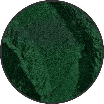 CHLORELLA